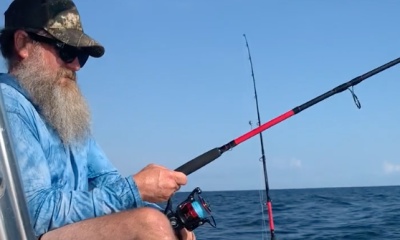 Big Shark!