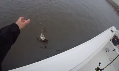Houston Report Video 0