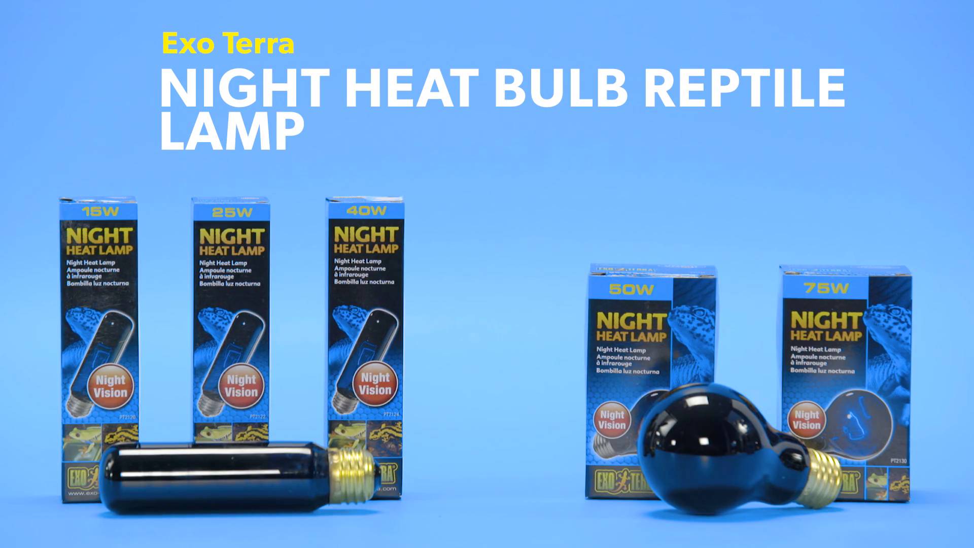 exo terra night heat lamp