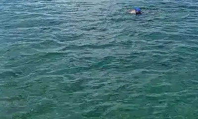 even a child can snorkel