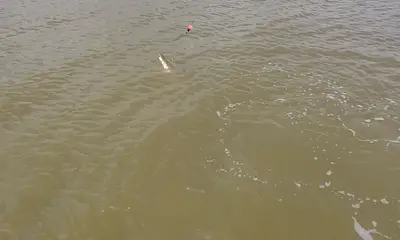 Matagorda Report Video 0