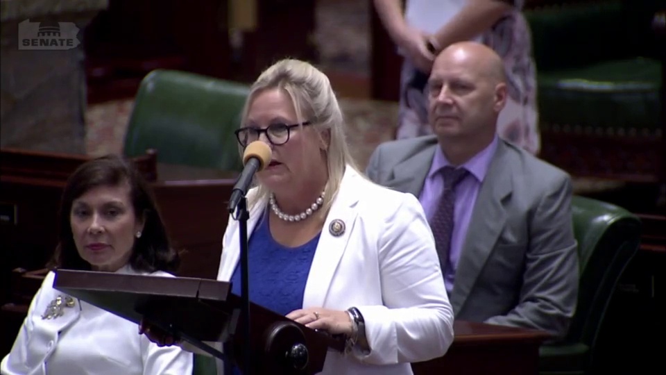 6/15/21 - Providing Voter Identification (SB 735)