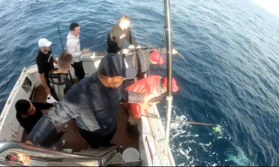 Sydney Report Video 0