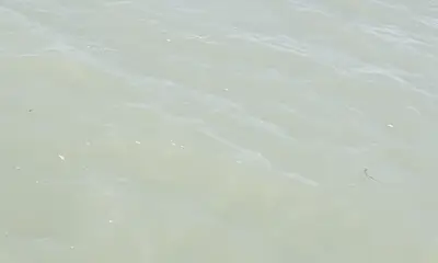 South Padre Island Report Video 0