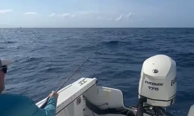 Half day off shore charter