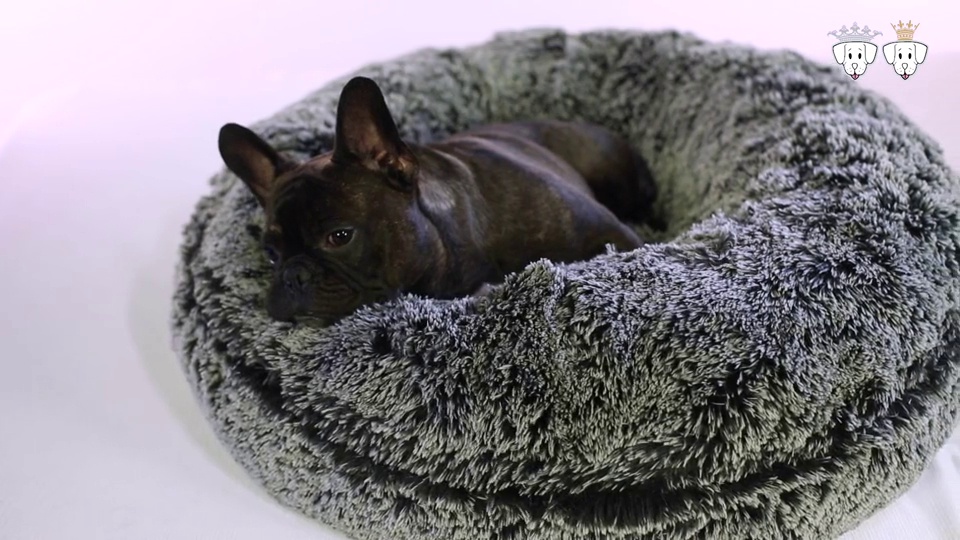 Bessie and barnie outlet bagel dog bed