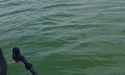 San Antonio Report Video 0