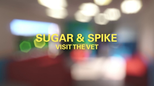 Vetsulin (porcine insulin zinc suspension) U-40 Injectable for Dogs & Cats