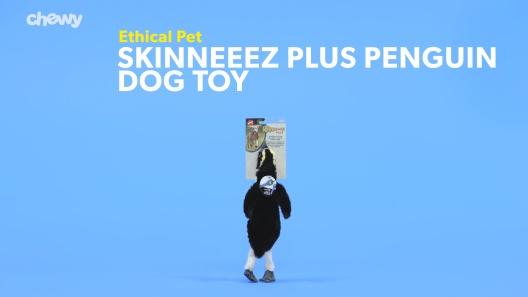 Play Video: Learn More About Ethical Pet From Our Team of Experts