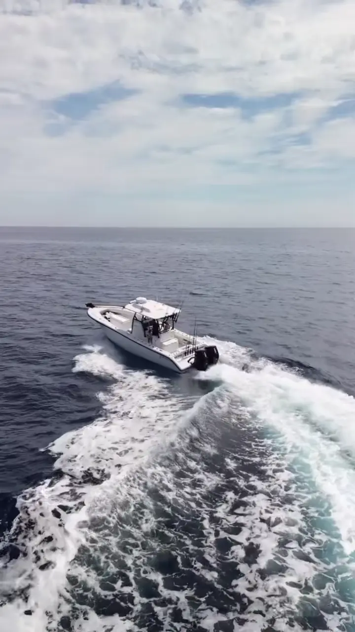 Business Card: Hola Cappy Charters