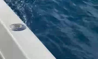 Miami Report Video 0