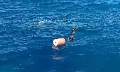 Playa Del Carmen Report Video 0