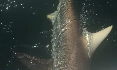 Bradenton Report Video 0