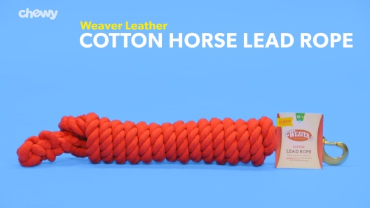 WEAVER COTTON LEAD Soft Cotton 5/8" Rope Length 10ft Black