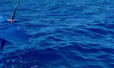 San Jose del Cabo Report Video 0