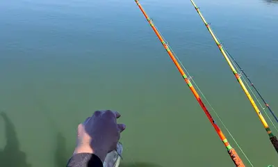 Tega Cay Report Video 3