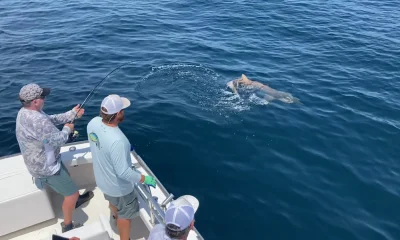 Nags Head Report Video 0