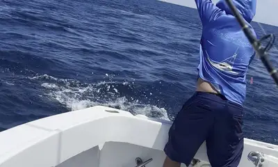 crushed them today