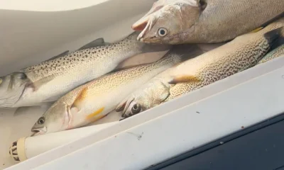 Lisbon Report Video 0