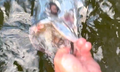 West Palm Beach Report Video 0