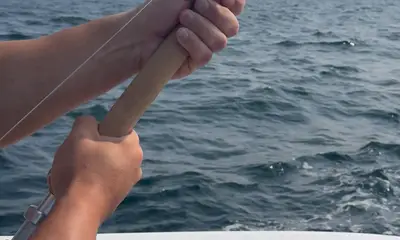 South Kingstown Report Video 0
