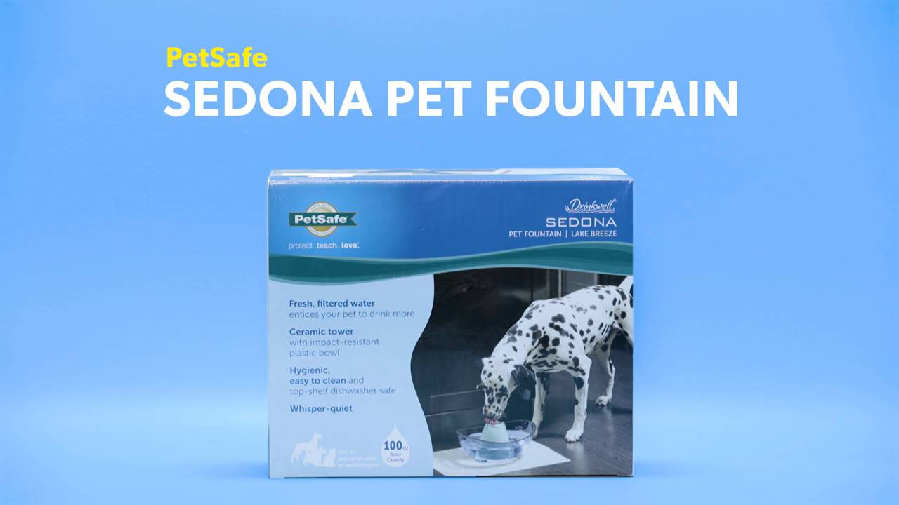 Petsafe sedona hotsell pet fountain