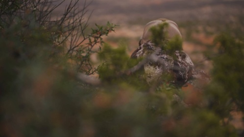Tim Brandt - Why you need good glass when hunting Aoudad
