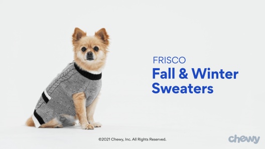 Chewy Fashion Warm Sweater - Flexing Pets - Fashion Pup Look