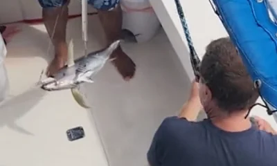 Panama City Report Video 0