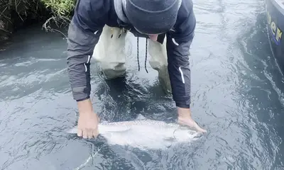 Cook Inlet Report Video 4