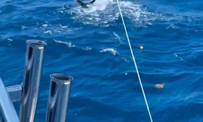 Miami Report Video 0