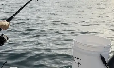 Tarpon Jumped 10 feet out of the water!!