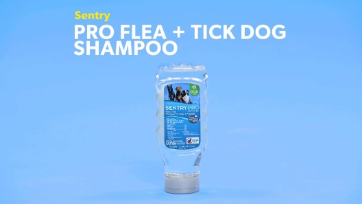 HARTZ UltraGuard Pro Flea & Tick Dog Shampoo, 18-oz bottle 