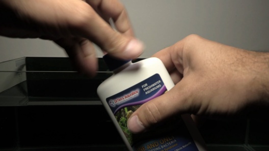 Play Video: Learn More About Dr. Tim's Aquatics From Our Team of Experts