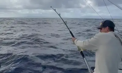 Haleiwa Report Video 0