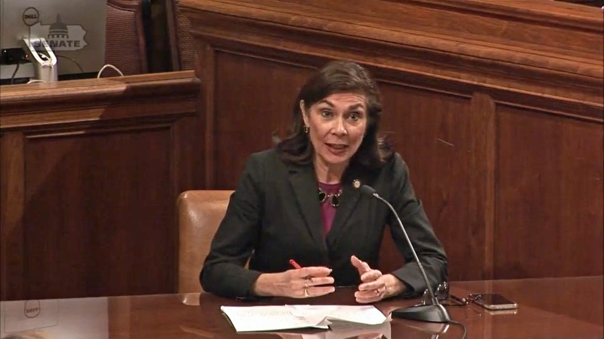 3/2/22 - Budget Hearings Q&A: DCNR (Part 1)