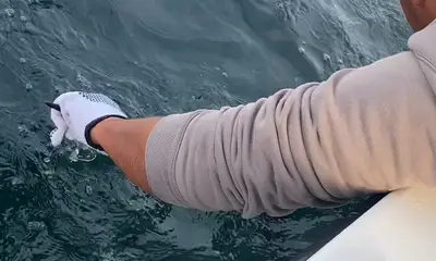 Puerto Vallarta Report Video 1