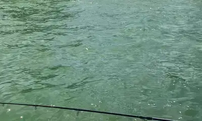 Fort Myers Report Video 0