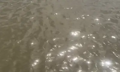 Venice Report Video 0