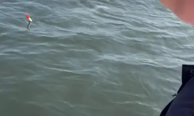 Amazing Captain who knows the water!
