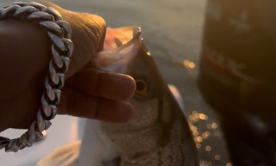 Atlanta Report Video 0