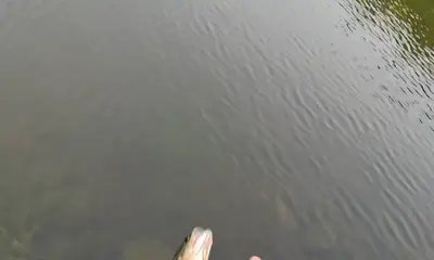 Atlanta Report Video 0