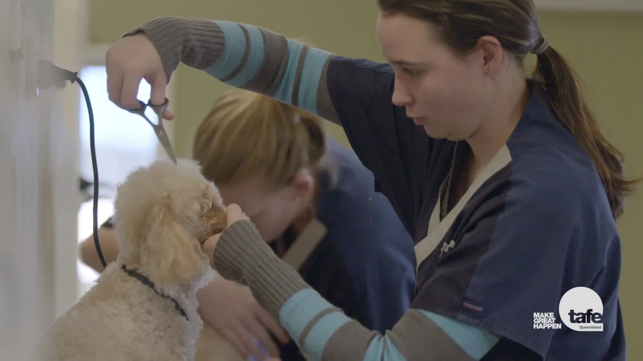 Animal Studies Courses | TAFE Queensland Animal Studies Courses | TAFE Queensland