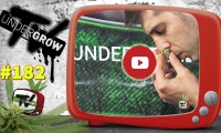 UNDERGROW TV #182 Cómo plantar en exterior; Genéticas de Brasil, Medical Weed Chile, Análisis del cannabis