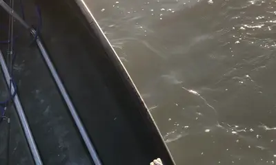 Homestead Report Video 1