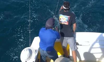 Wanchese Report Video 0