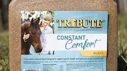 Tribute Constant Comfort Plus Topdress 40 lb