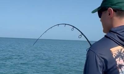 About the fishing 