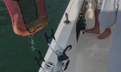 Townville Report Video 0