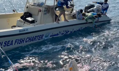 Marlin landed on trolling